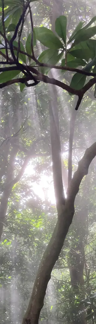 Rincon de la Vieja zum Fünften